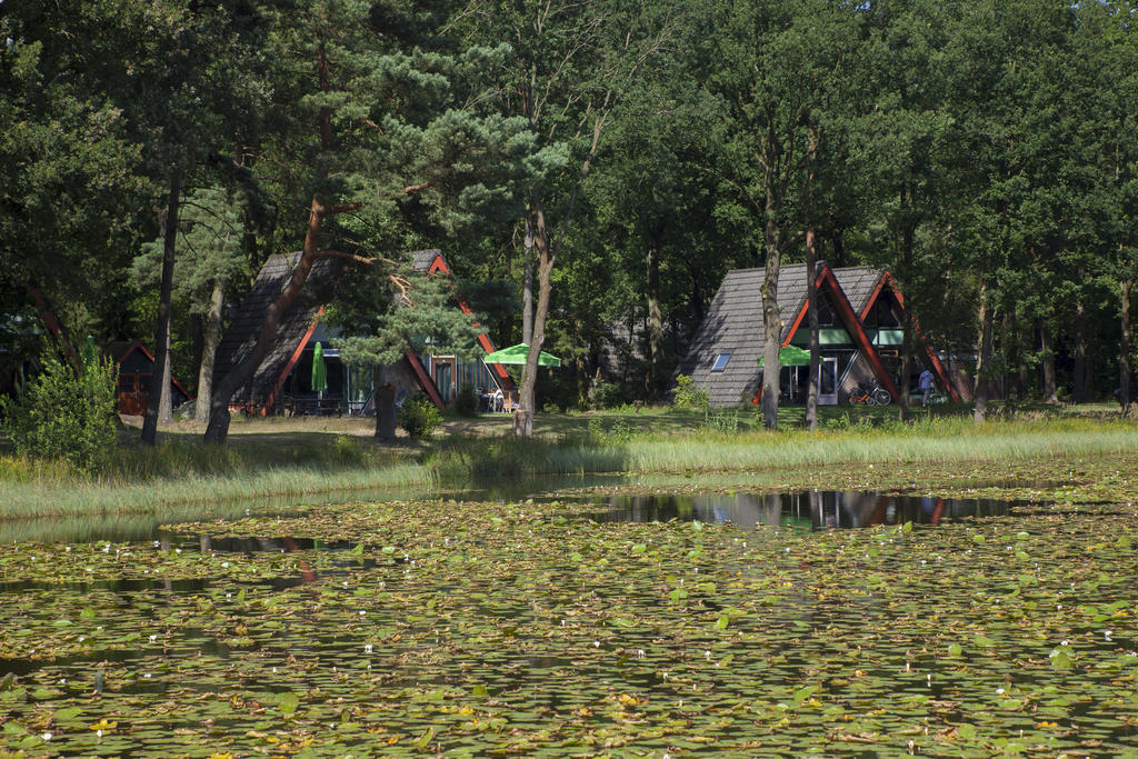 'T Vosseven Vakantiehuizen Stramproy 객실 사진